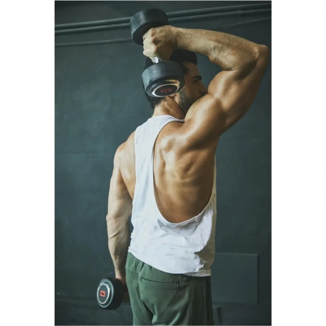 Gorilla Sports Halter 7,5 kg - Zwart