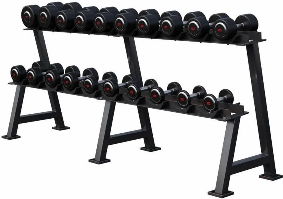 Gorilla Sports Dumbbellrek 325kg