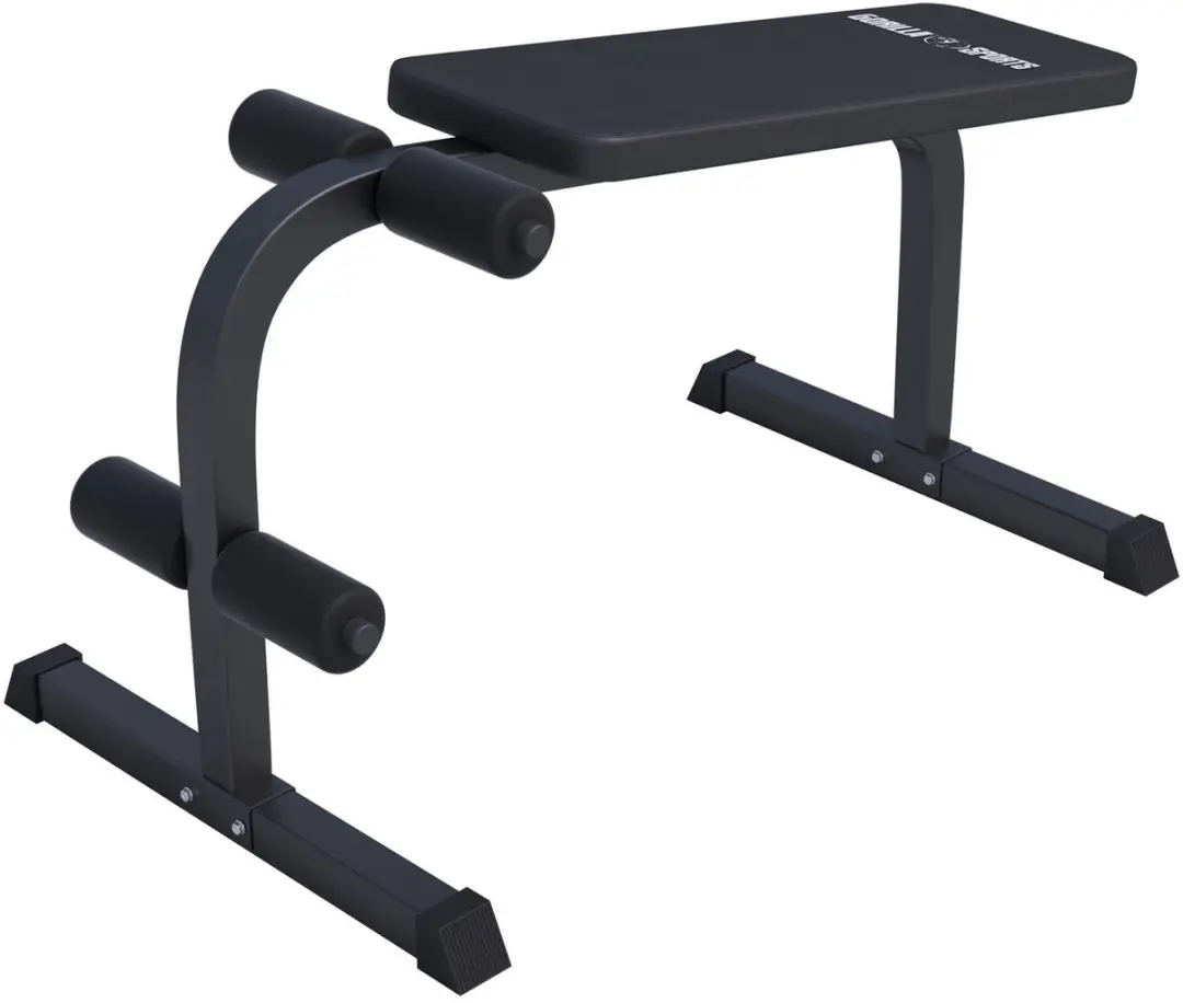 Gorilla Sports Halter- En Buikspierbank