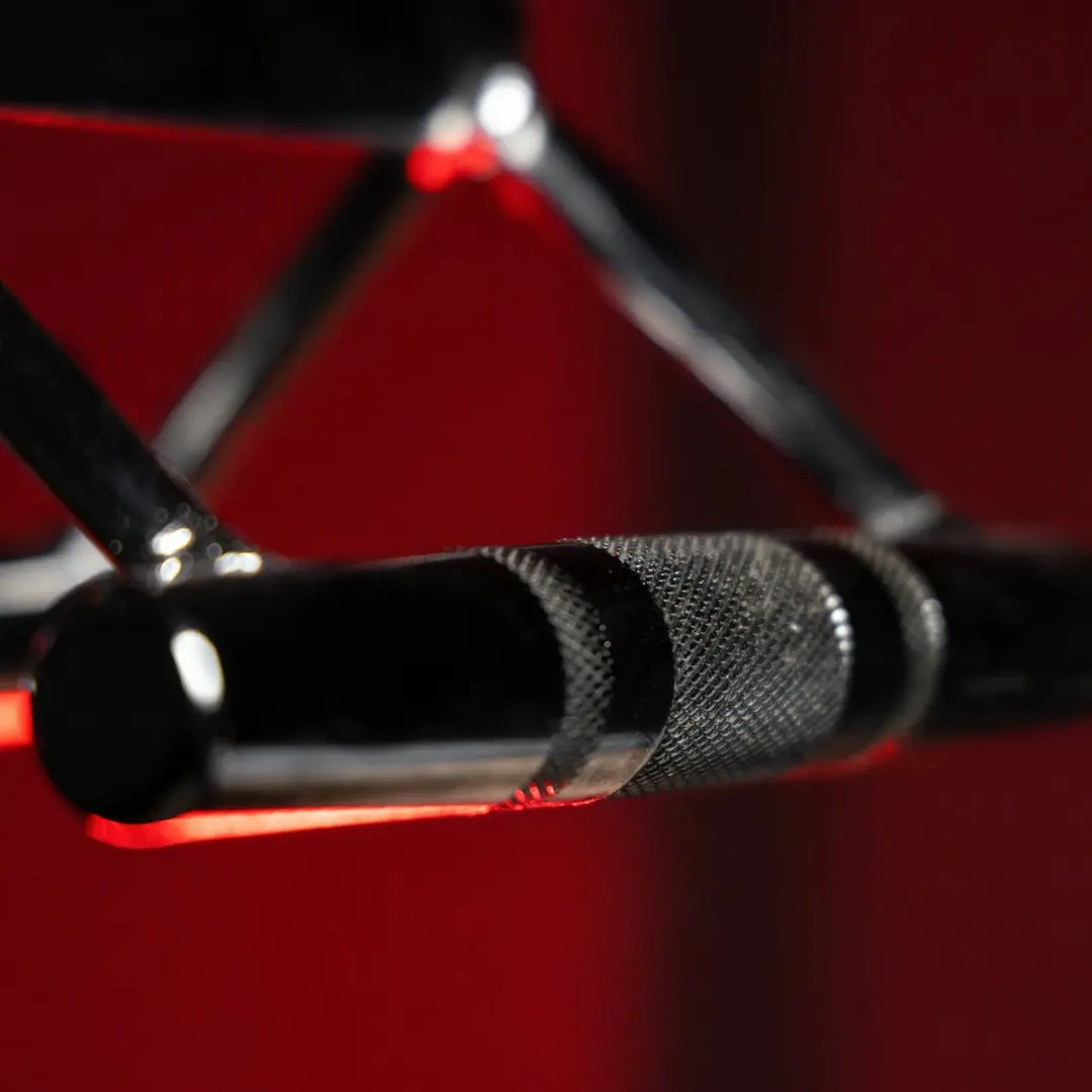Gorilla Sports Smalle Roeigreep - Dubbele Lat Pulley Handgreep - Chroom
