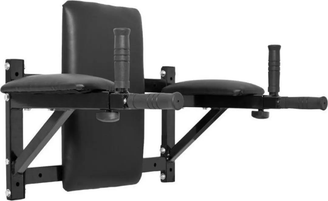 Gorilla Sports Ab Dip Combi Station