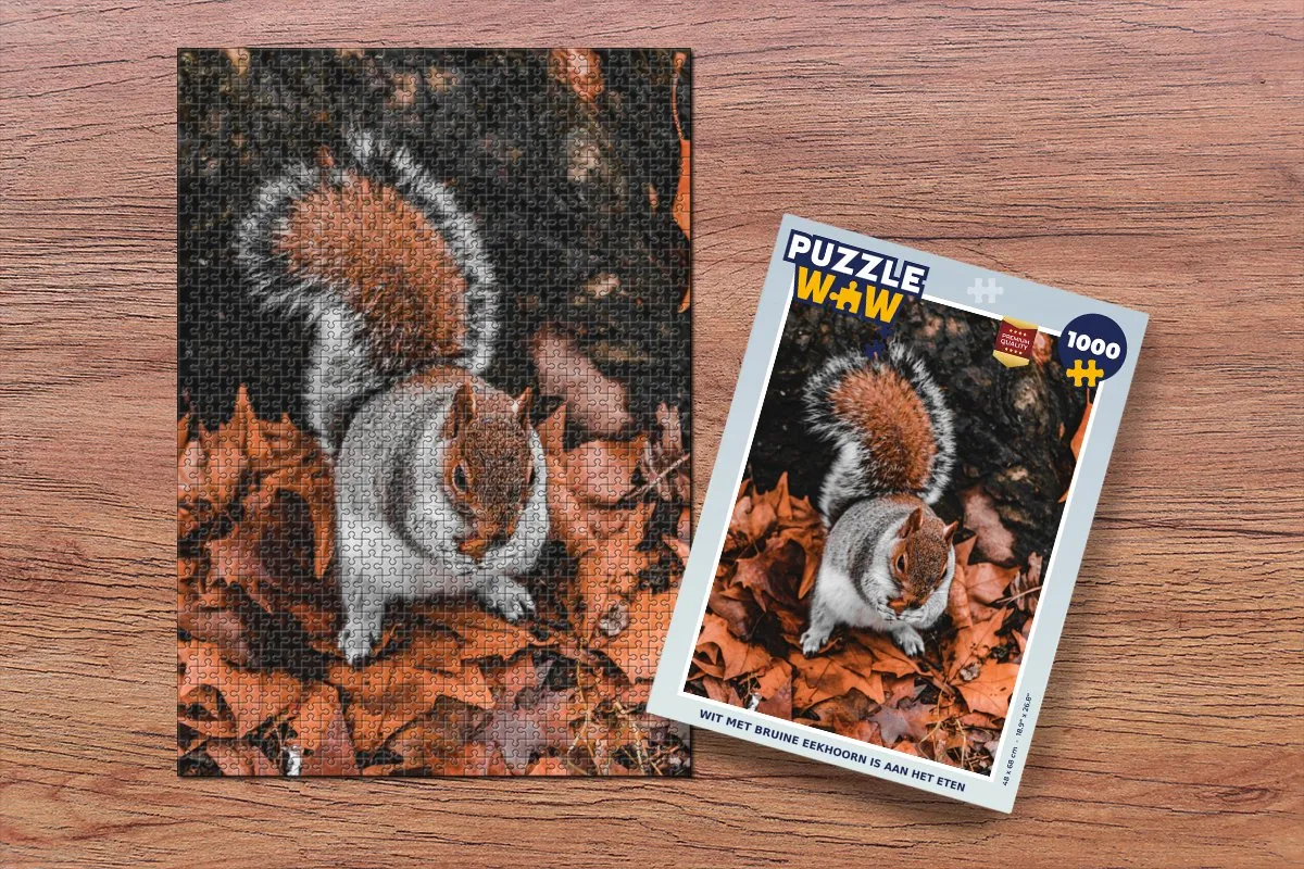 PuzzleWow Legpuzzel 1000 Stuks - Multicolor