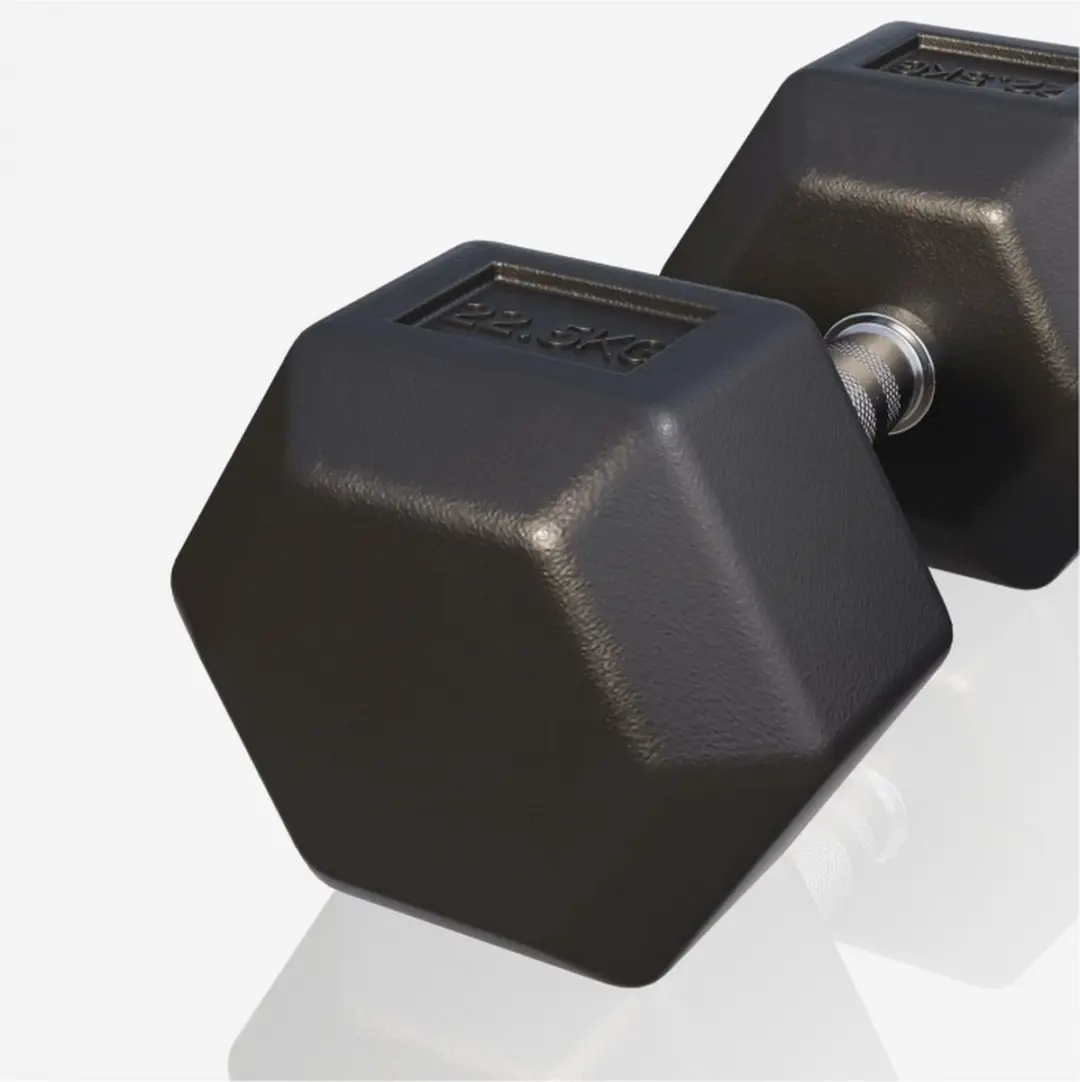 Gorilla Sports Dumbbell 22,5 kg - Gietijzer - Zwart