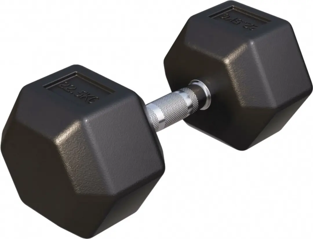 Gorilla Sports Dumbbell 22,5 kg