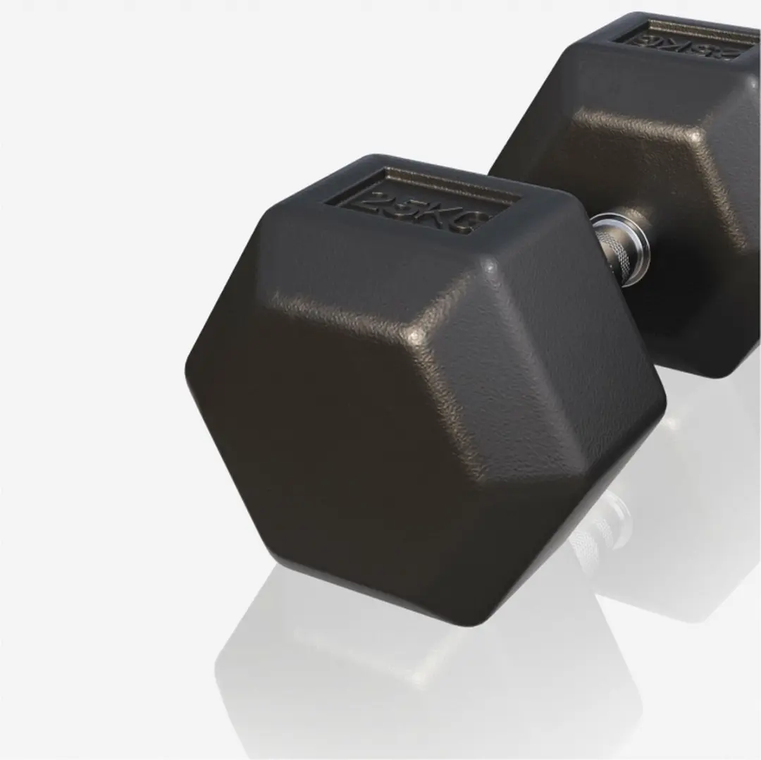 Gorilla Sports Dumbbell 25 kg - Gietijzer - Hexagon - Zwart