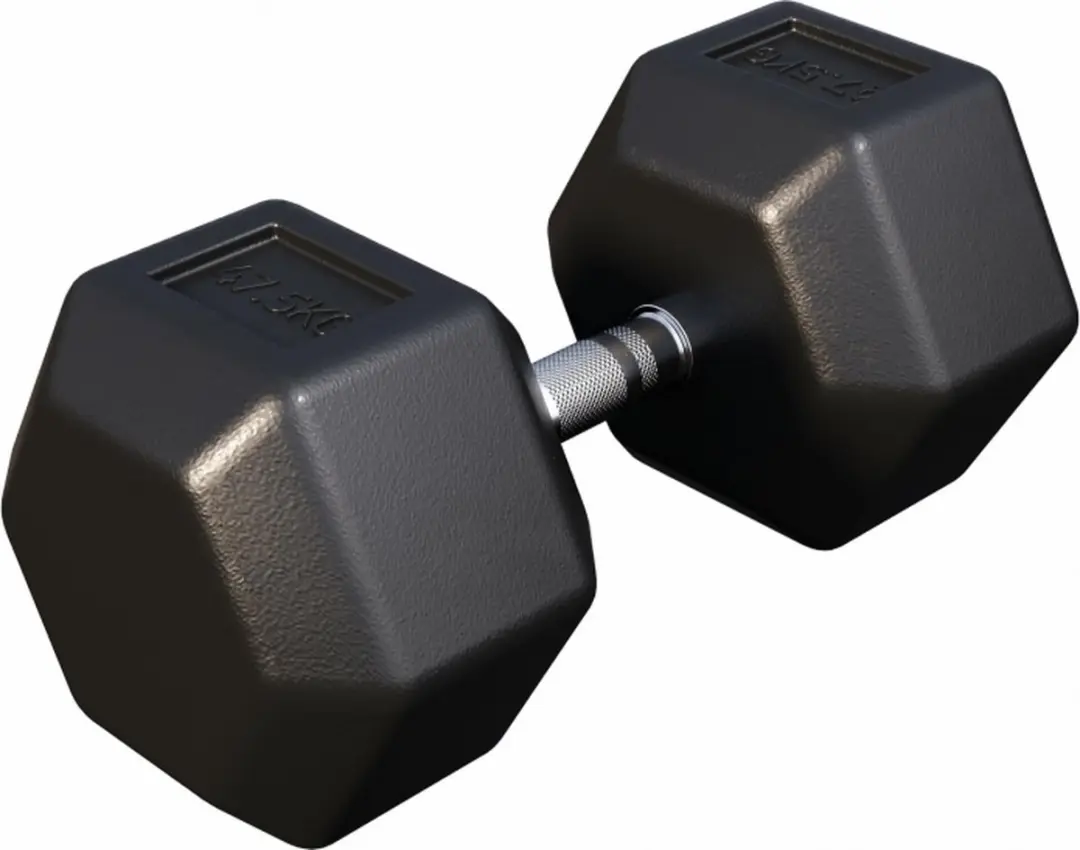 Gorilla Sports Dumbbell 47,5 kg