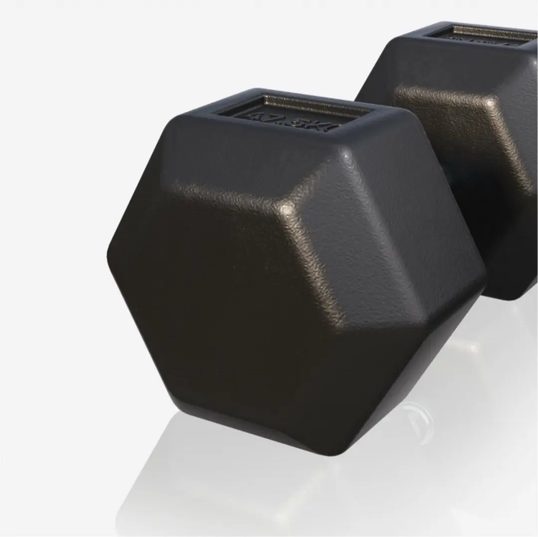 Gorilla Sports Dumbbell 47,5 kg - Gietijzer - Hexagon - Zwart
