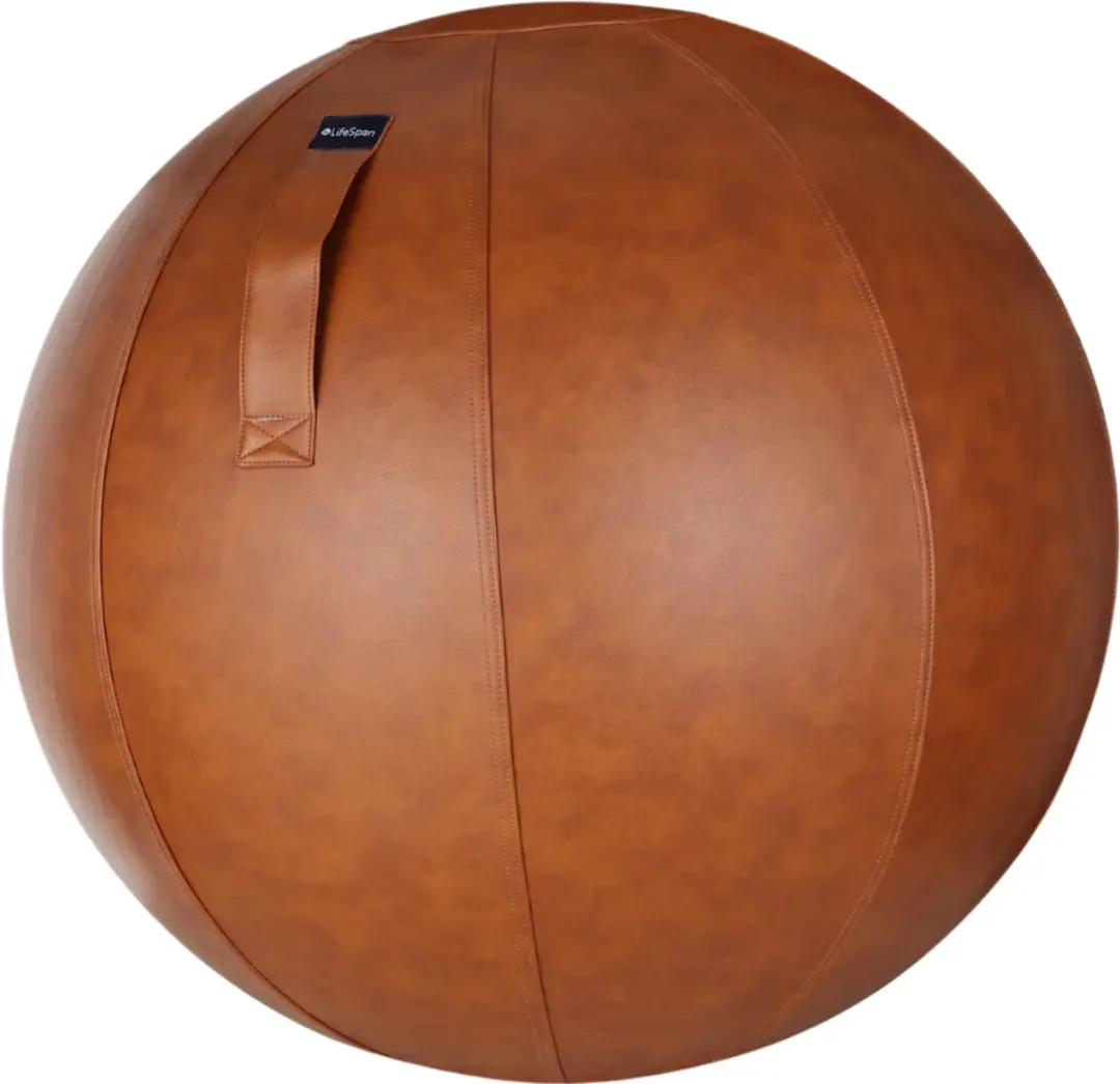 LifeSpan Workplace Yogabal voor een actieve en gezonde werkplek 25" (63 cm)
