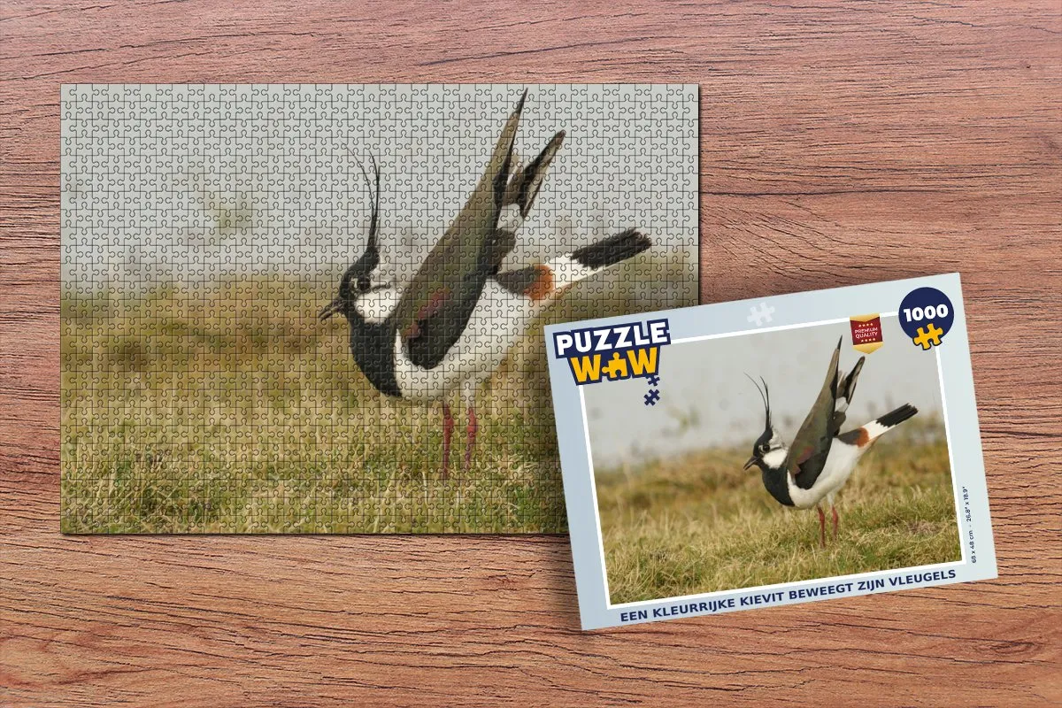 PuzzleWow Legpuzzel 1000 Stuks - Multicolor