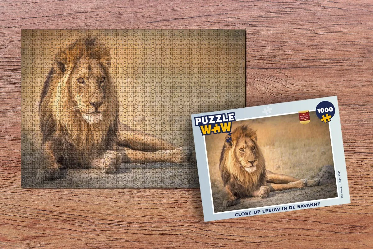 PuzzleWow Leeuw Close Up Savanne Legpuzzel 1000 Stuks - Multicolor