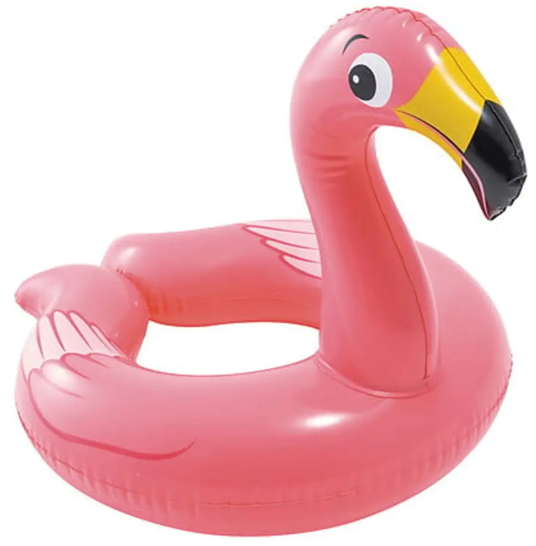 Intex Zwemring