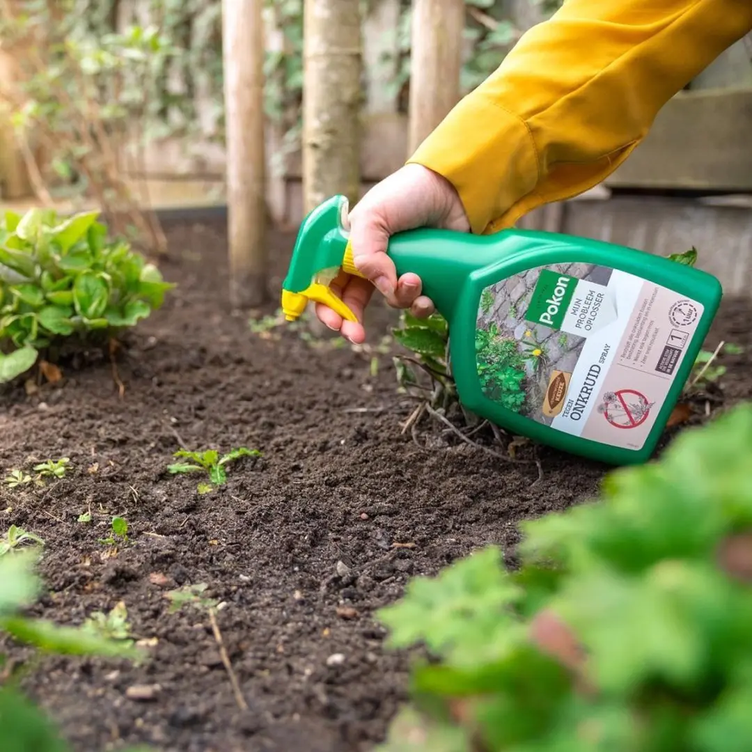 Pokon Tegen Onkruid Spray 1L - Natuurlijk - afbeelding 4 van 6