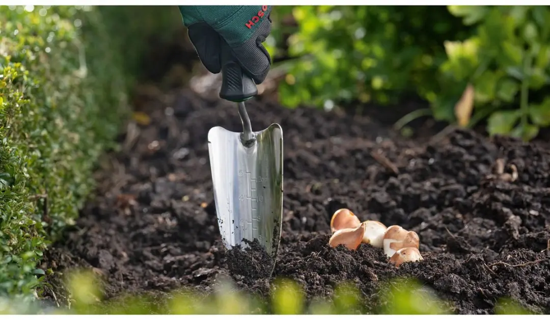 Bosch Planttroffel 06008B5800 - afbeelding 4 van 5