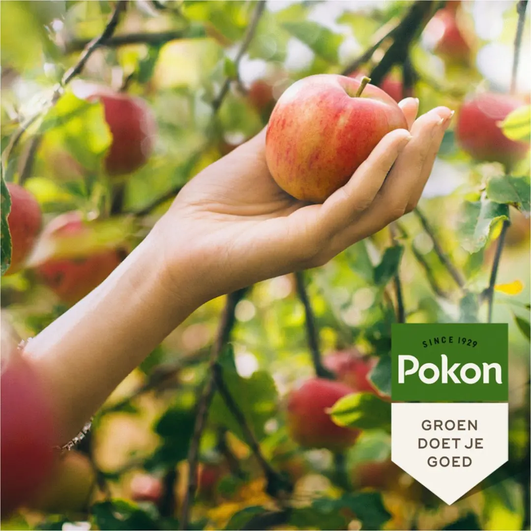 Pokon Bio Fruitbomen Mest 1kg - afbeelding 3 van 6
