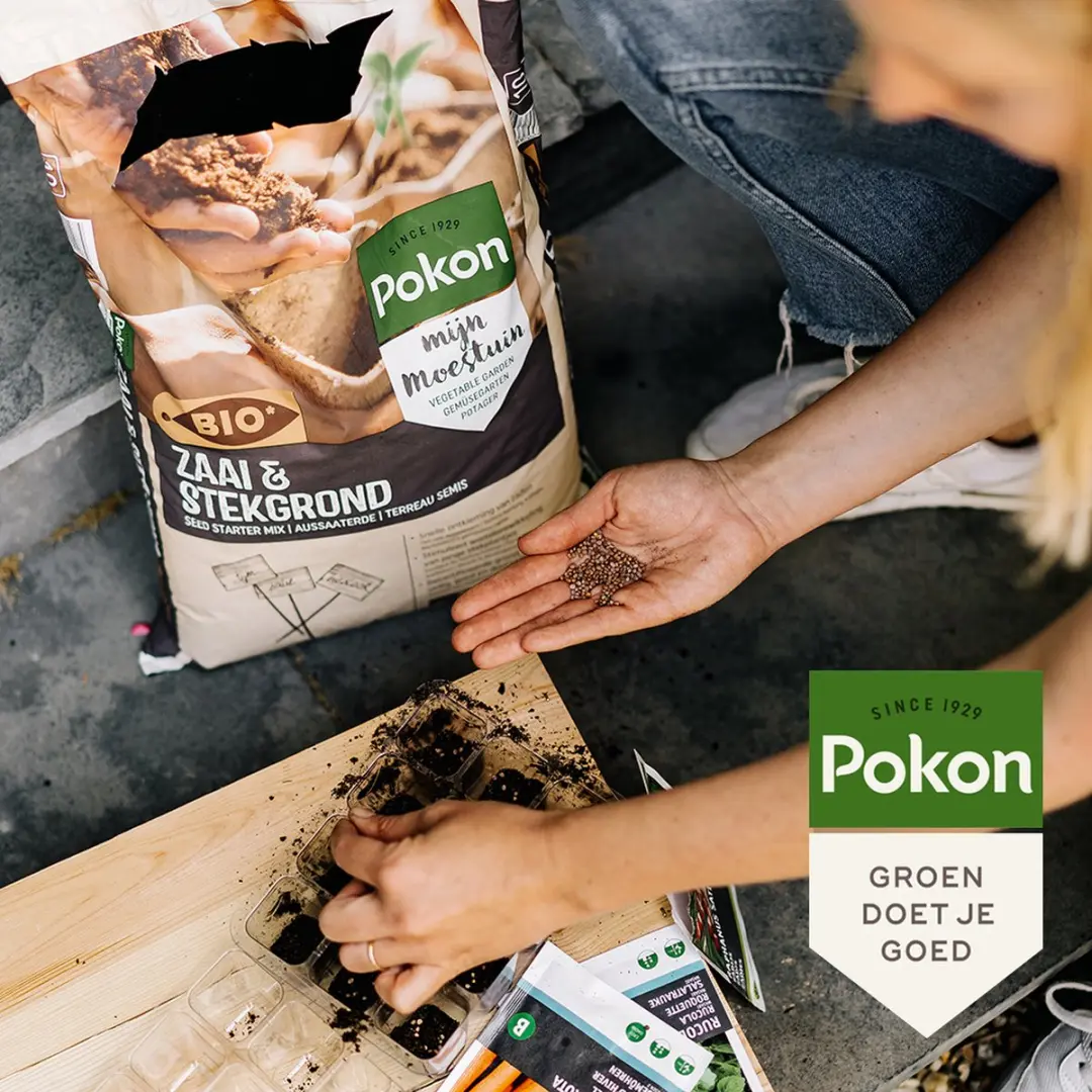 Pokon Bio Zaai- en Stekgrond 10L - afbeelding 4 van 6