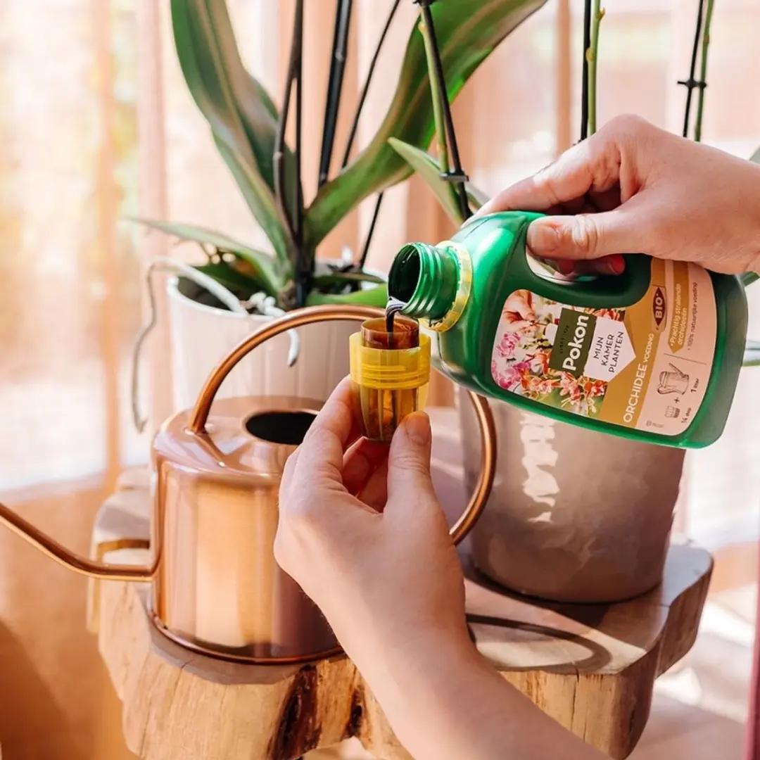 Pokon Bio Orchidee Voeding 250ml - afbeelding 6 van 6