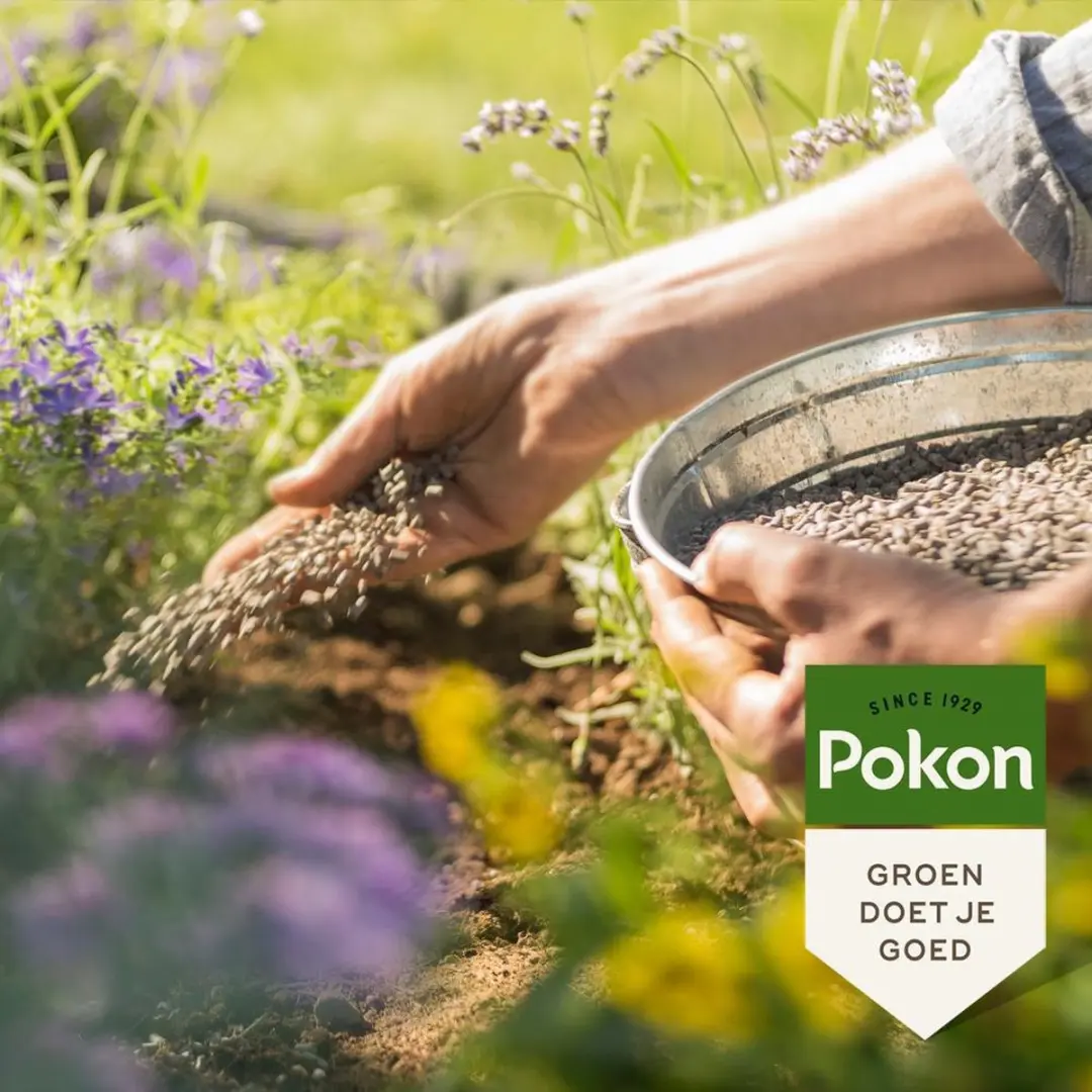 Pokon Bio Tuinmest 5kg - Universeel - afbeelding 3 van 5