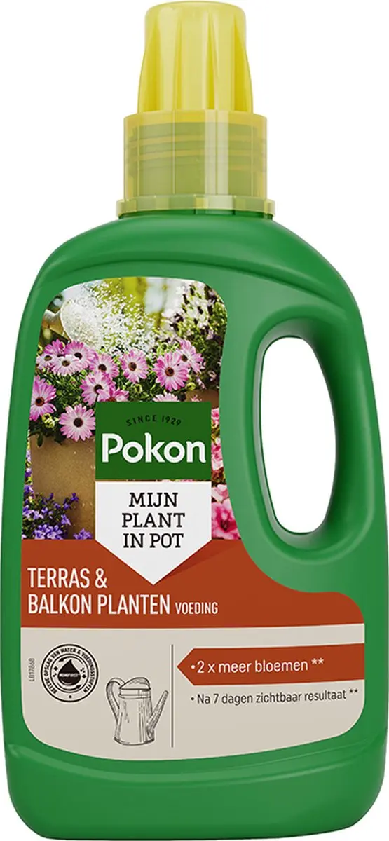 Pokon Terras & Balkonplanten Voeding 500ml
