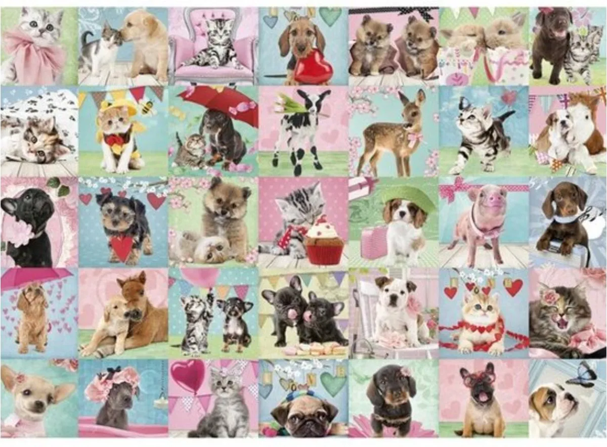 Jumbo Premium Collection Pets Lovely Day Legpuzzel 500 Stuks