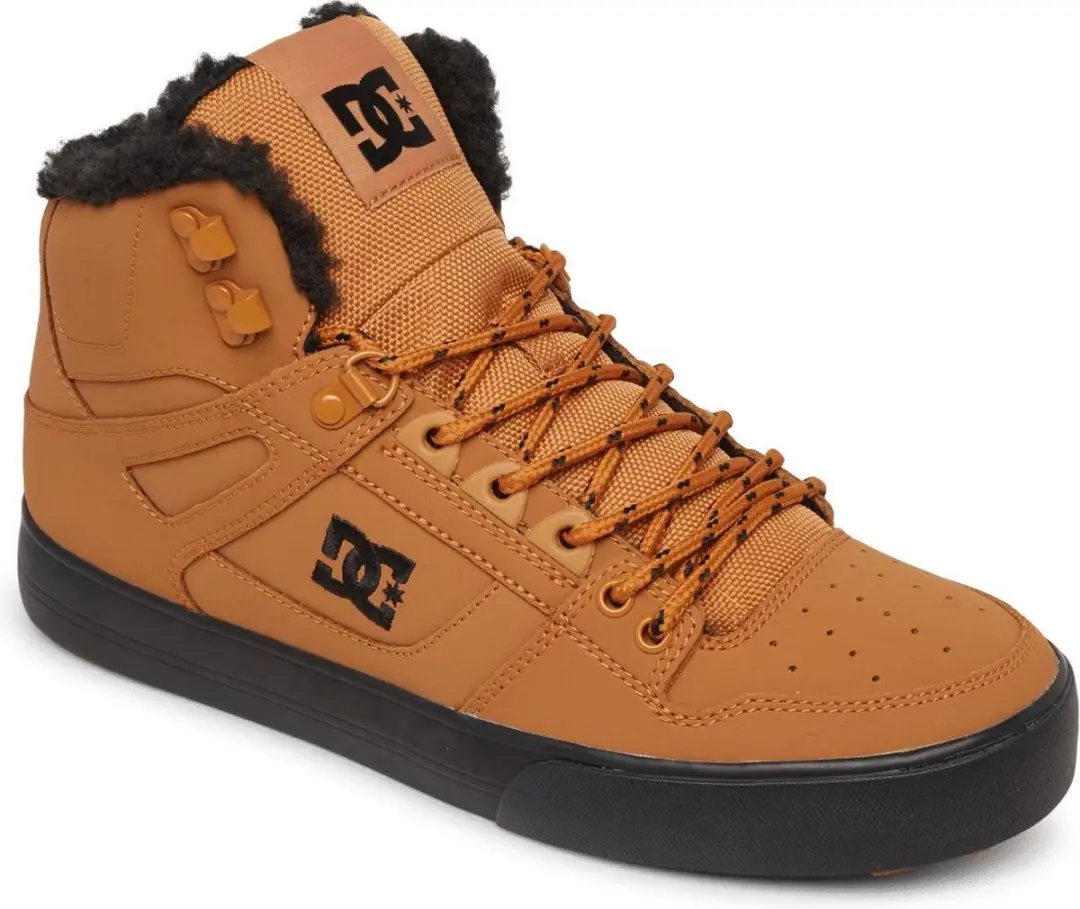 DC Shoes Pure High Top WC WNT Schoenen