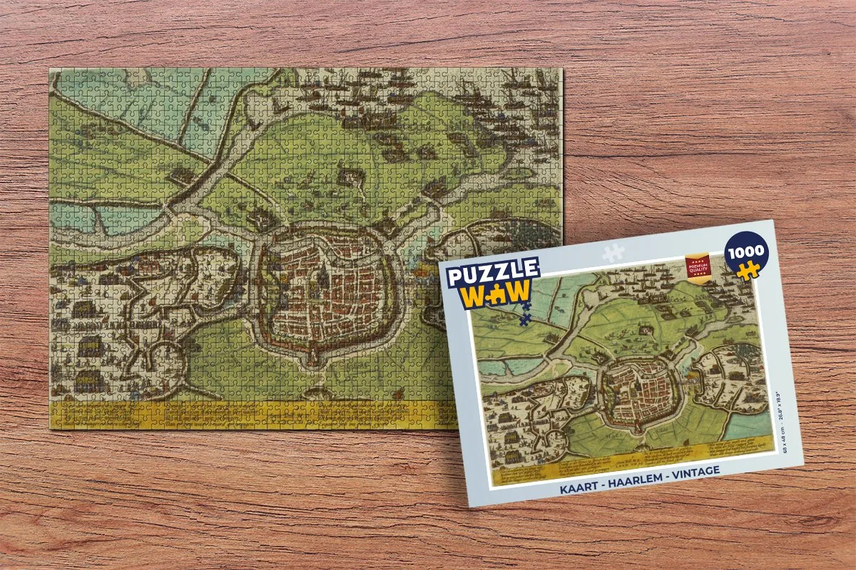 PuzzleWow Haarlem Vintage Legpuzzel 1000 Stuks - Multicolor