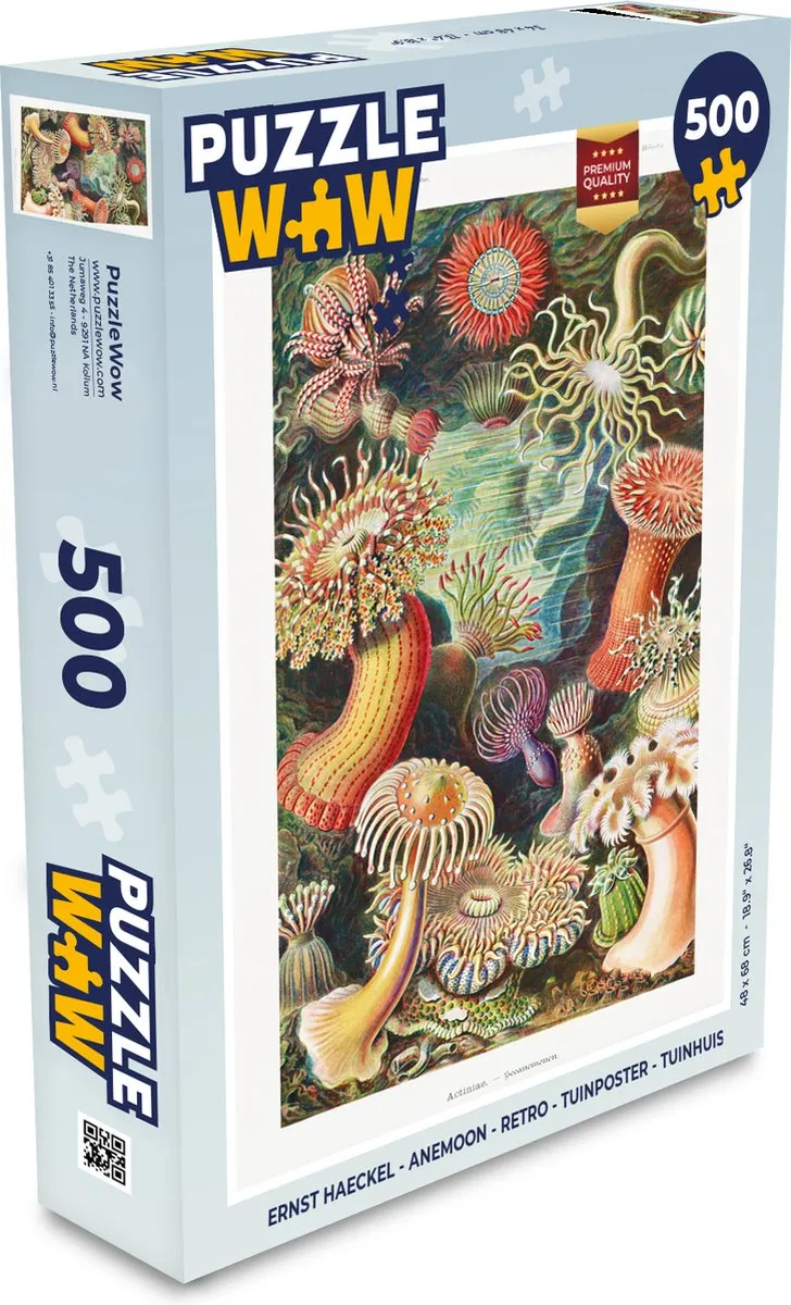 PuzzleWow Ernst Haeckel Anemoon Legpuzzel 500 Stuks - Multicolor