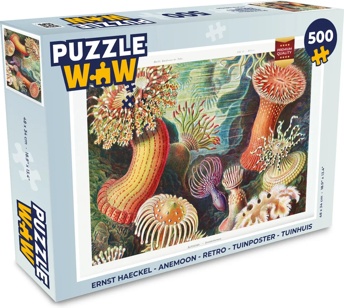 PuzzleWow Ernst Haeckel Anemoon Legpuzzel 500 Stuks - Multicolor
