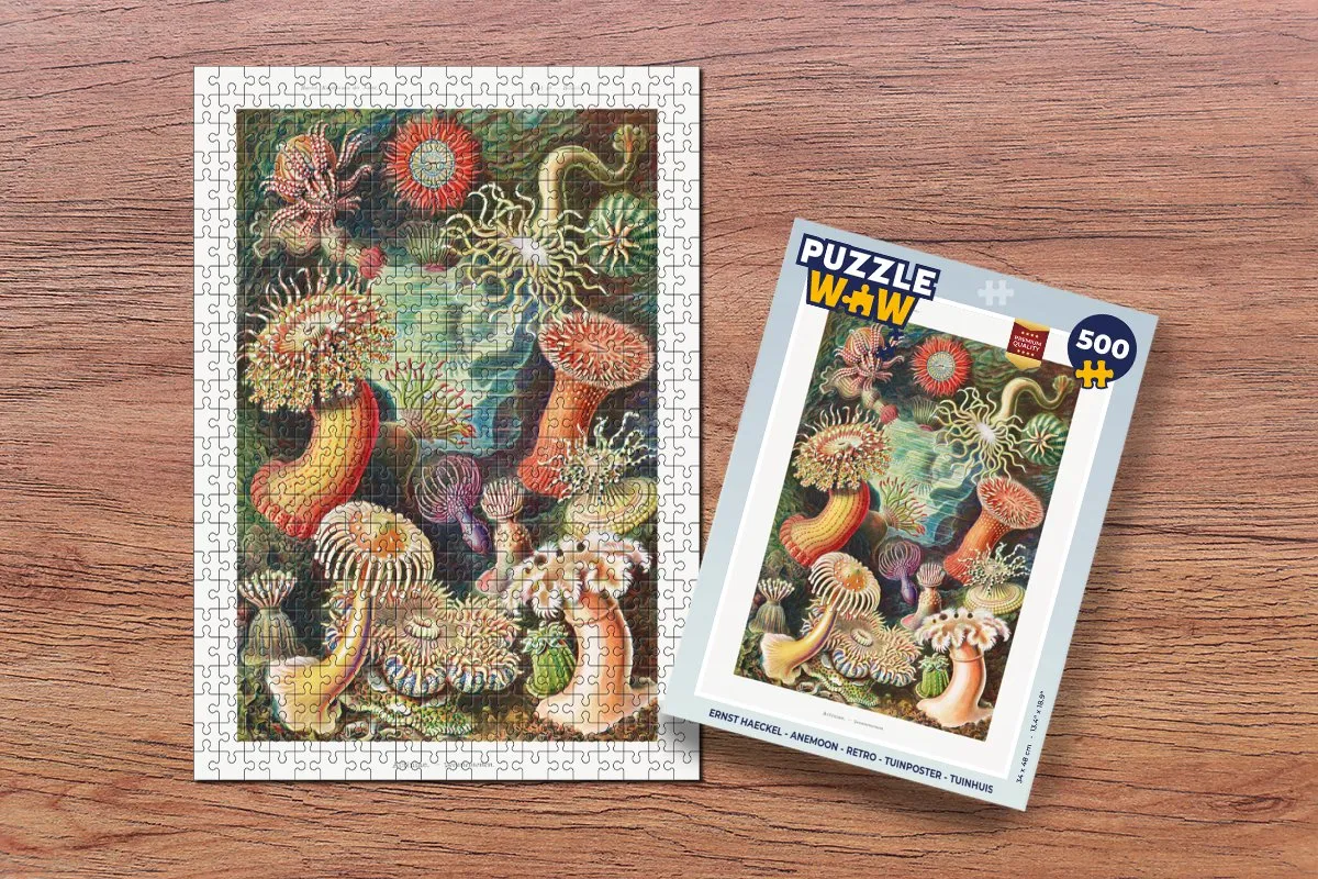 PuzzleWow Ernst Haeckel Anemoon Legpuzzel 500 Stuks - Multicolor