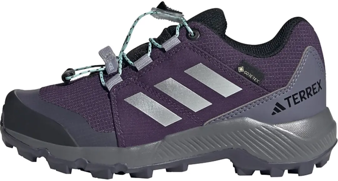 adidas TERREX Terrex GORE-TEX Hiking Schoenen