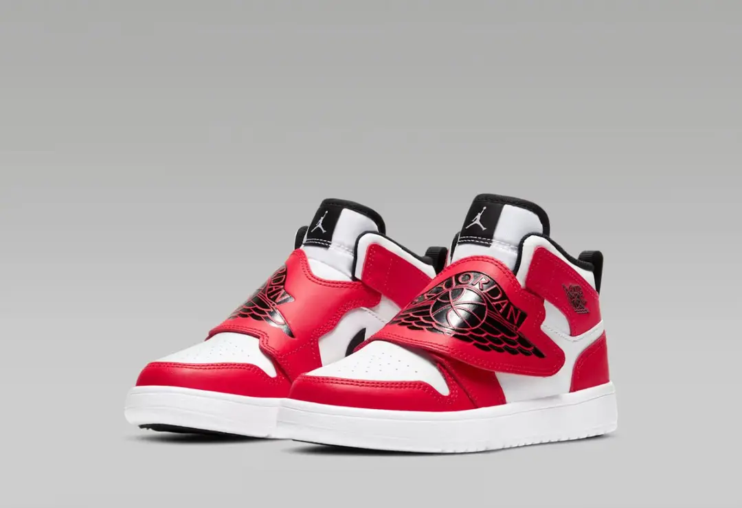Nike Sky Jordan 1