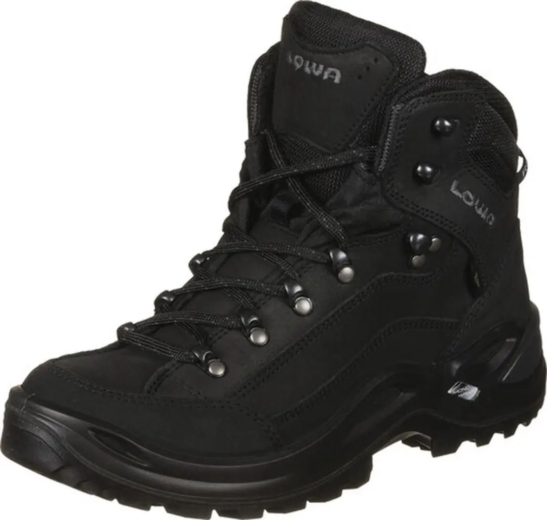 Renegade Evo GTX - Herenschoenen 45 - Zwart
