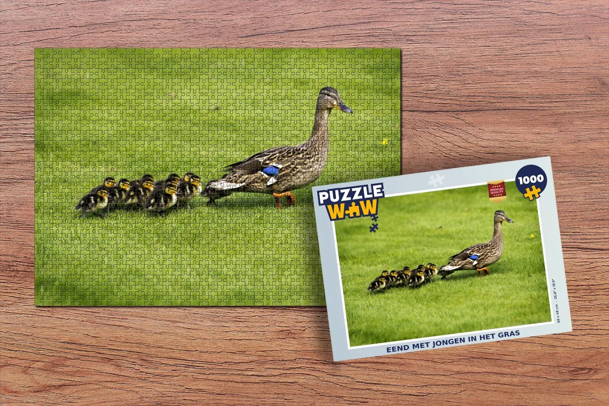 PuzzleWow Legpuzzel Eend met jongen in het gras 1000 Stuks - Multicolor