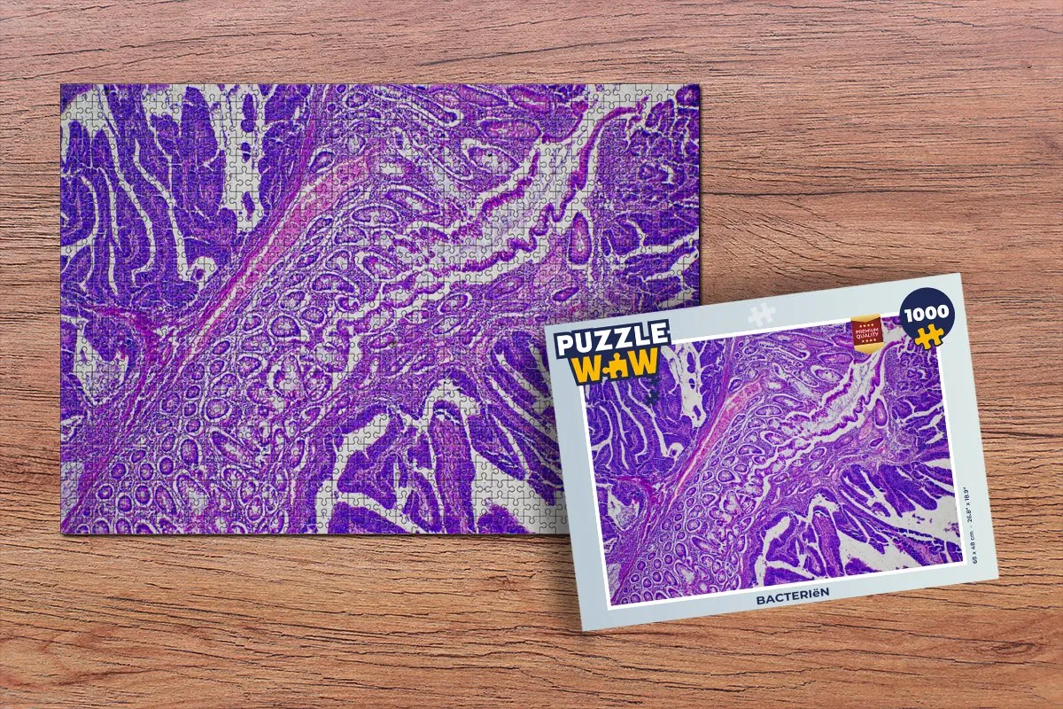 PuzzleWow Bacteriën Legpuzzel 1000 Stuks