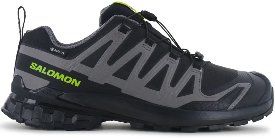 Salomon XA PRO 3D V9 GTX Wandelschoenen - Heren 42 2/3