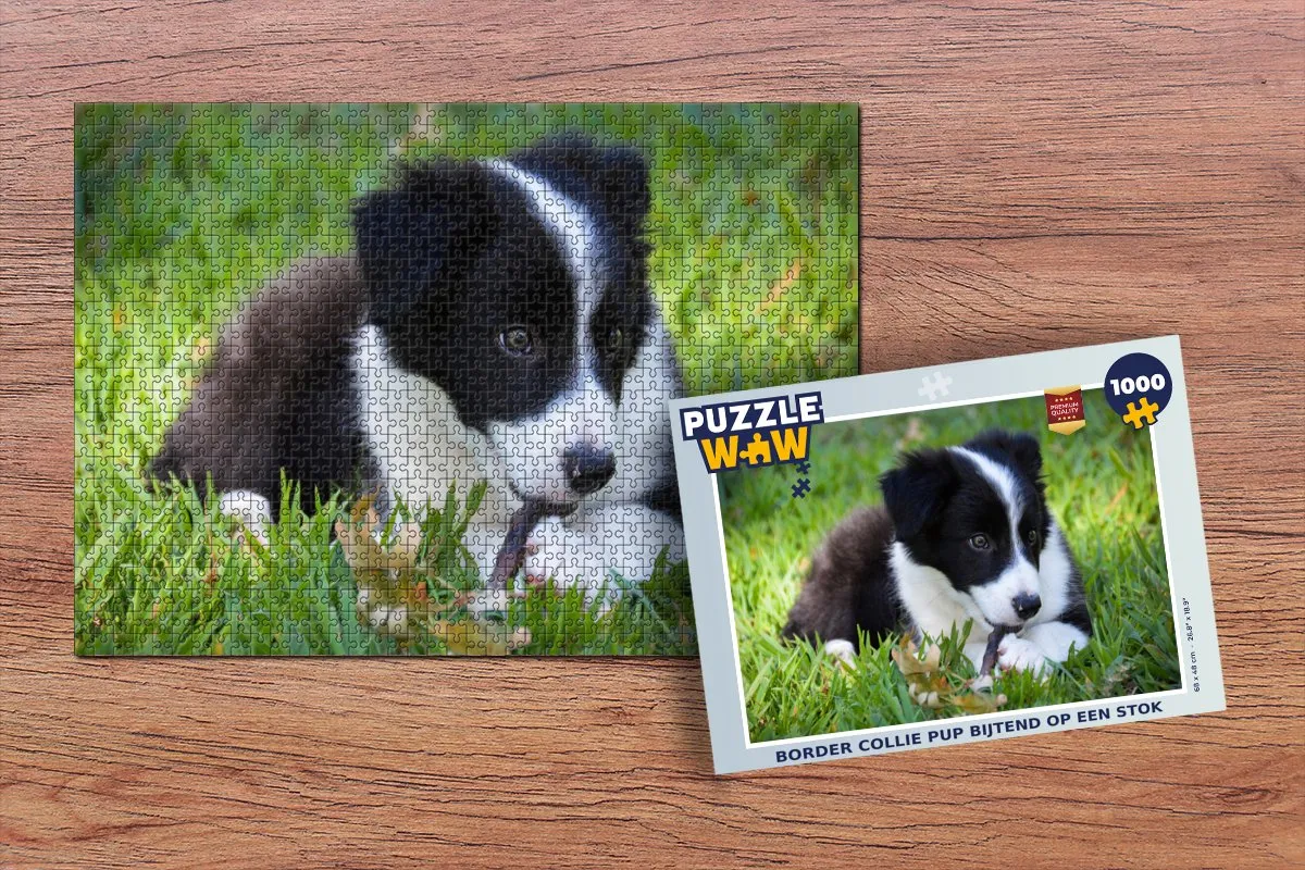 PuzzleWow Border Collie Pup Legpuzzel 1000 Stuks - Multicolor
