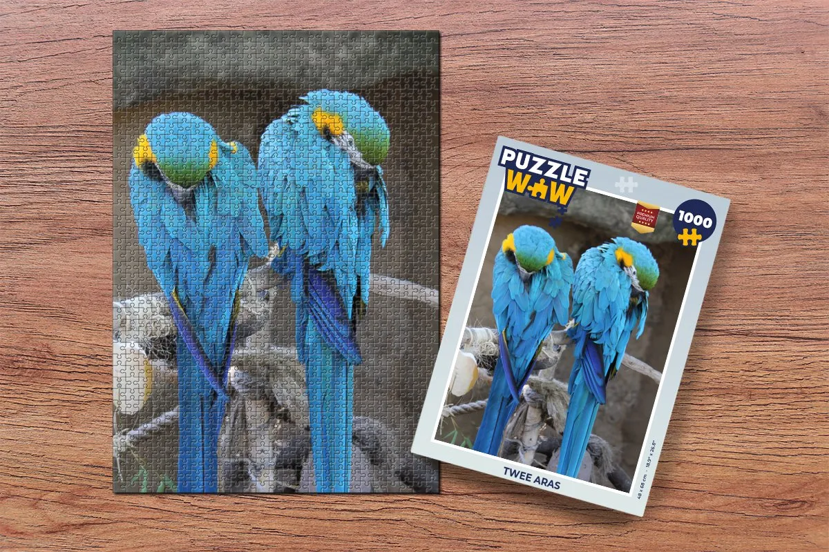 PuzzleWow Legpuzzel 1000 Stuks - Multicolor