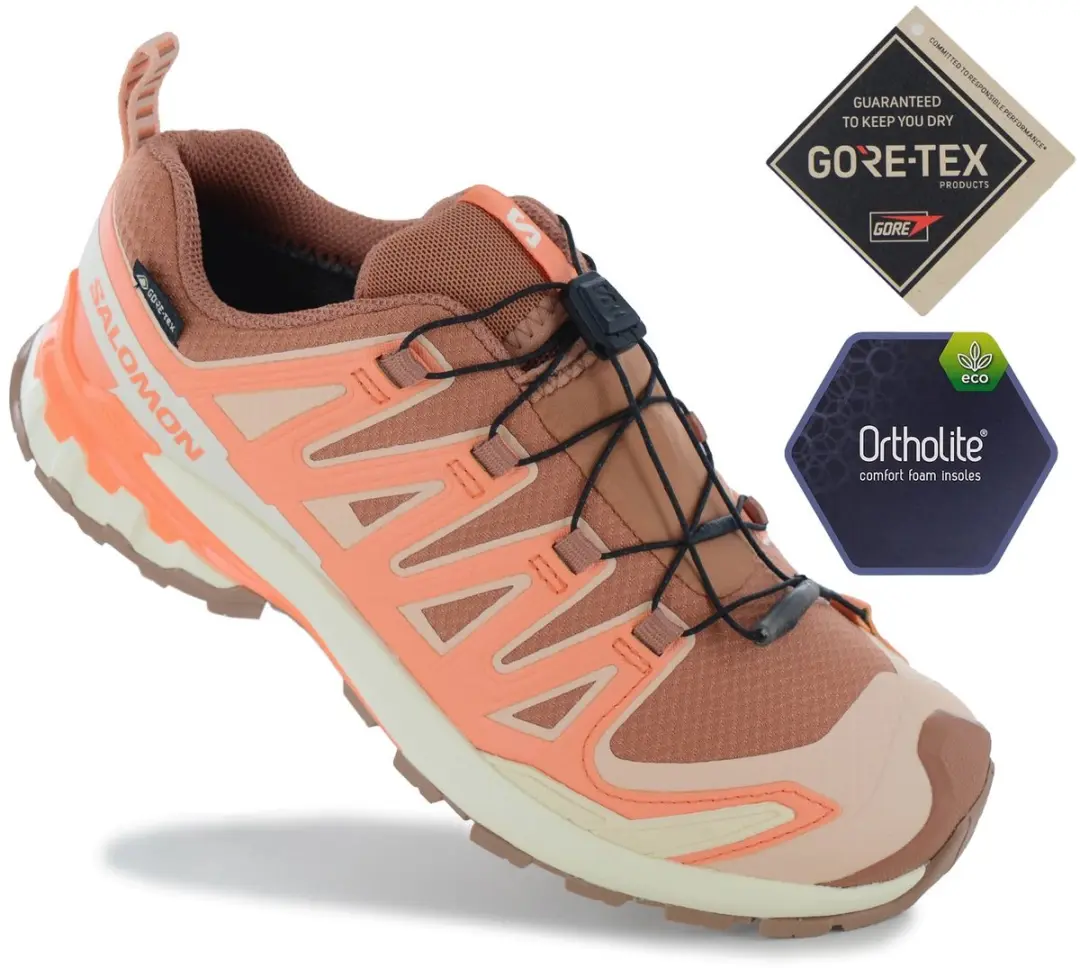 Salomon XA PRO 3D GTX Wandelschoenen