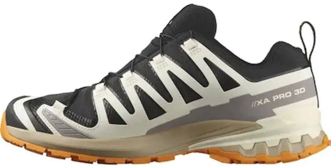Salomon XA Pro 3D V9 Gore-Tex Wandelschoenen
