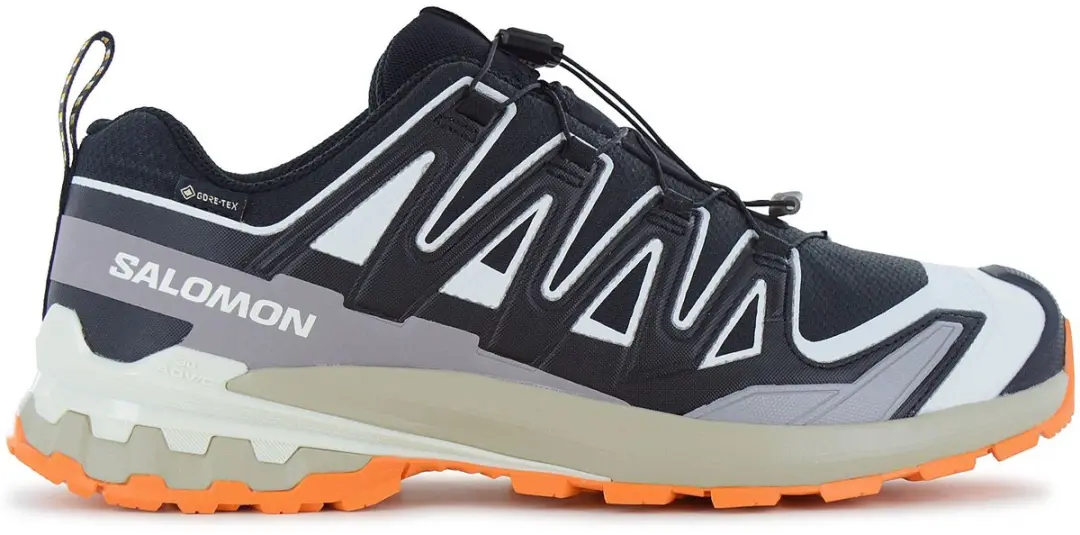 Salomon XA Pro 3D V9 Gore-Tex Wandelschoenen - Zwart