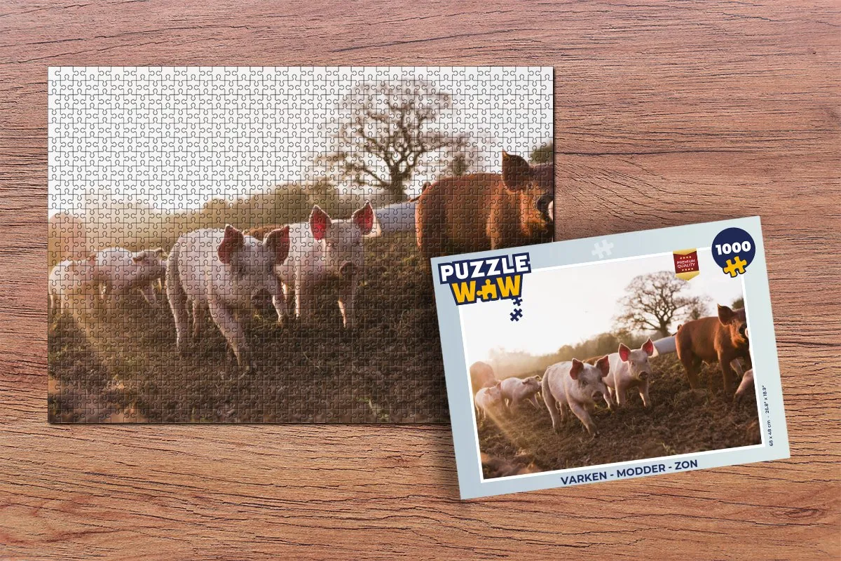 PuzzleWow Modder Zon Legpuzzel 1000 Stuks - Multicolor
