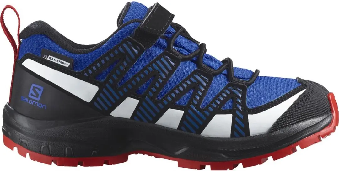 Salomon Xa Pro V8 Cswp Wandelschoenen Blauw EU 29