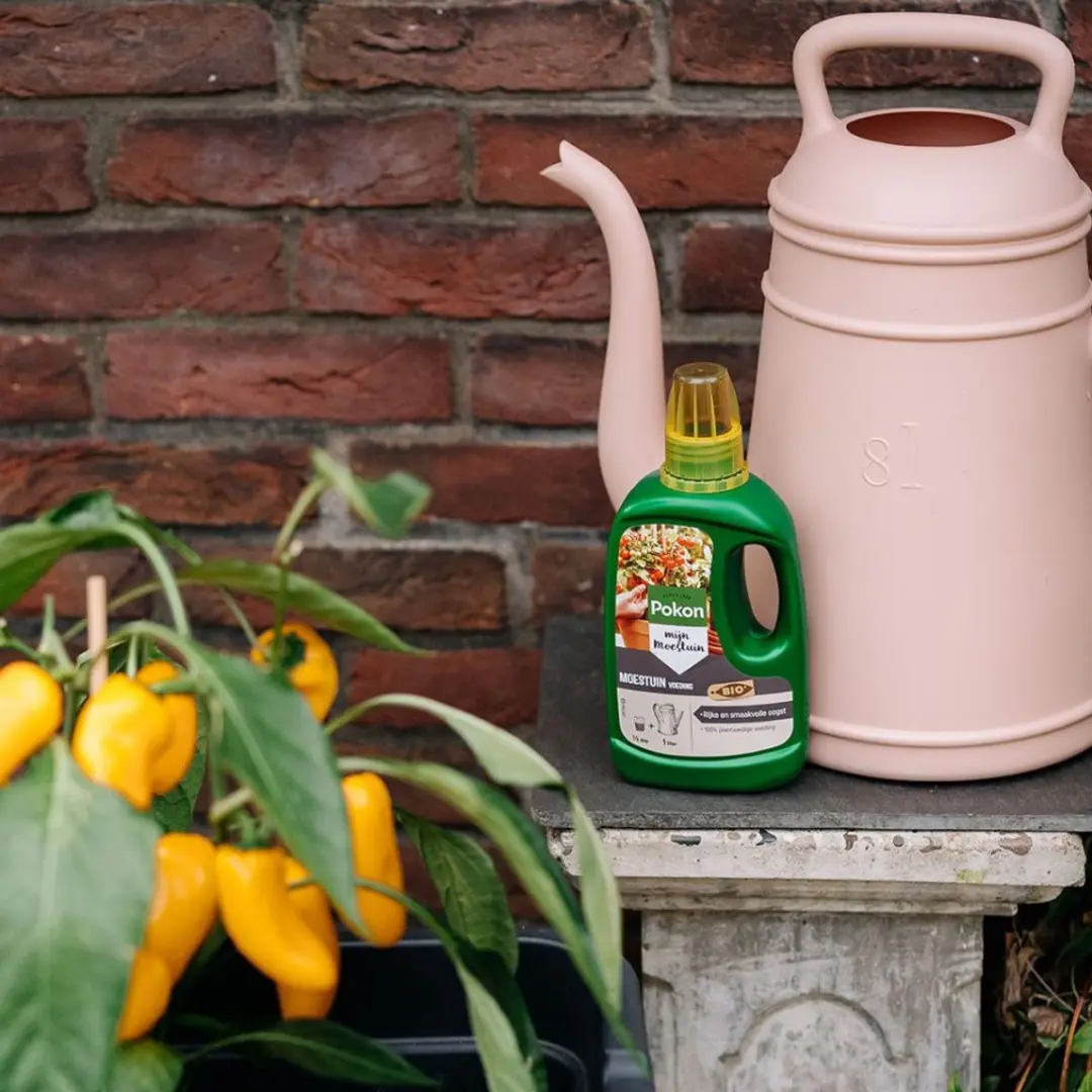 Pokon Bio Moestuinvoeding 500ml - afbeelding 5 van 6