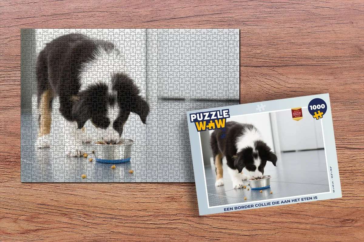 PuzzleWow Border Collie Puzzel 1000 Stuks - Multicolor