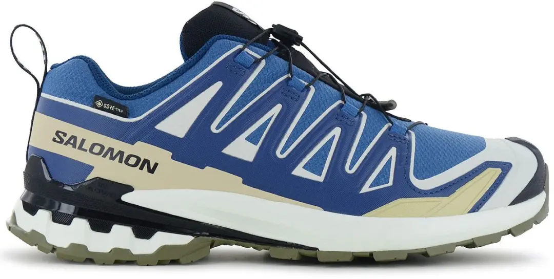 Salomon XA PRO 3D V9 GTX Wandelschoenen - Blauw - EU 40