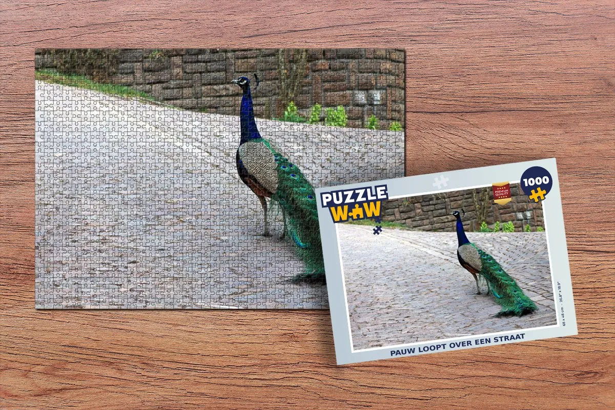 PuzzleWow Legpuzzel 1000 Stuks