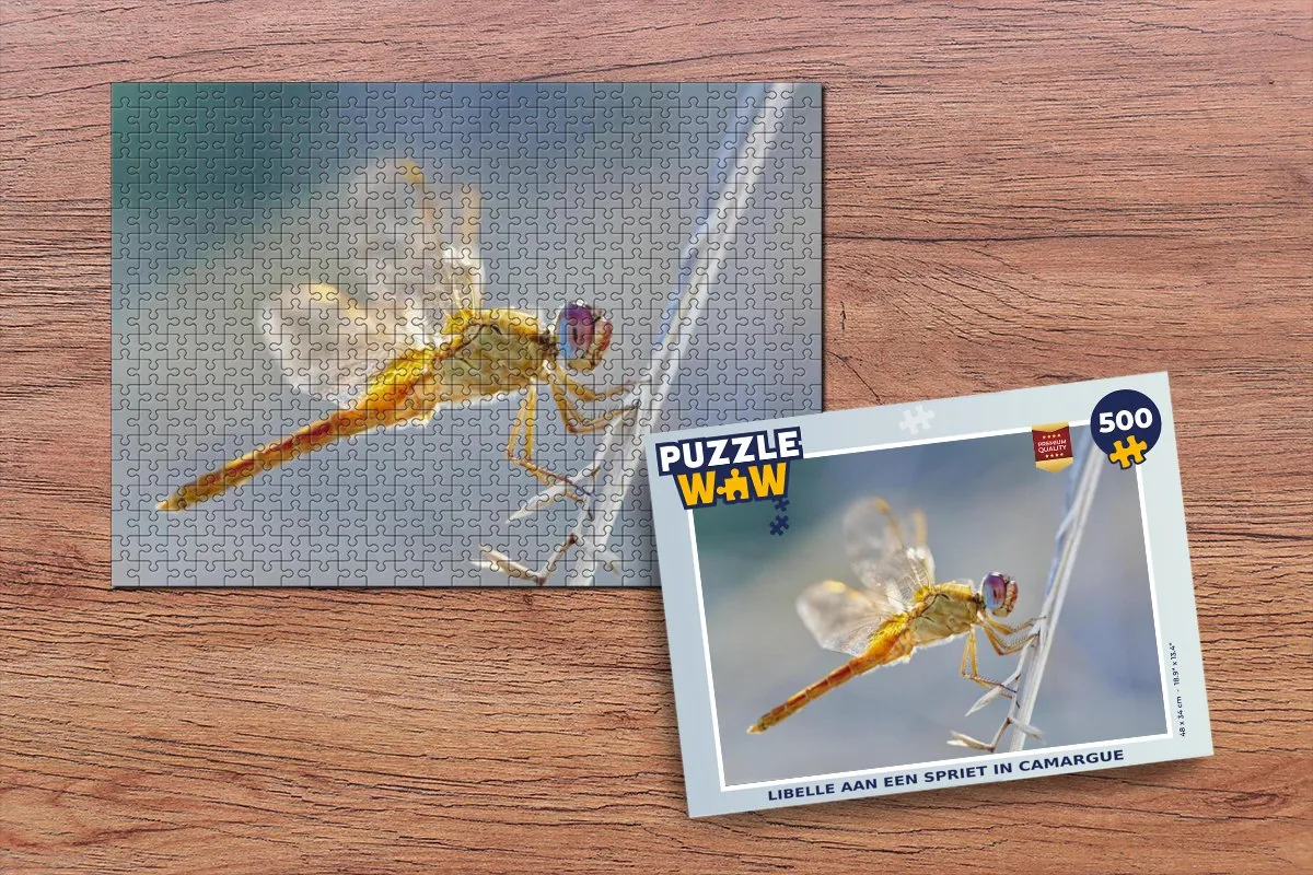PuzzleWow Legpuzzel Libelle aan een spriet in Camargue 500 Stuks - Multicolor