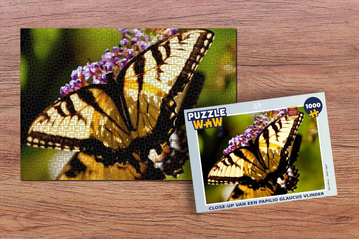 PuzzleWow Legpuzzel Papilio Glaucus 1000 Stuks - Multicolor