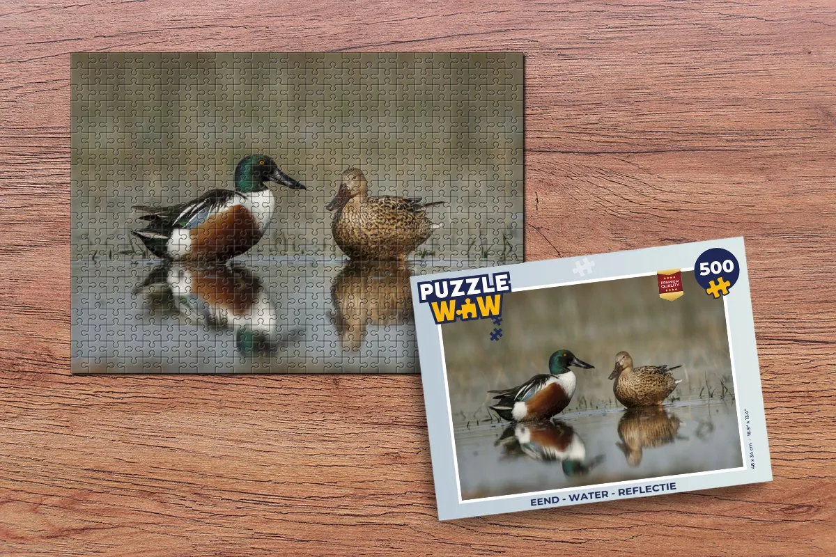 PuzzleWow Water Reflectie Legpuzzel 500 Stuks - Multicolor