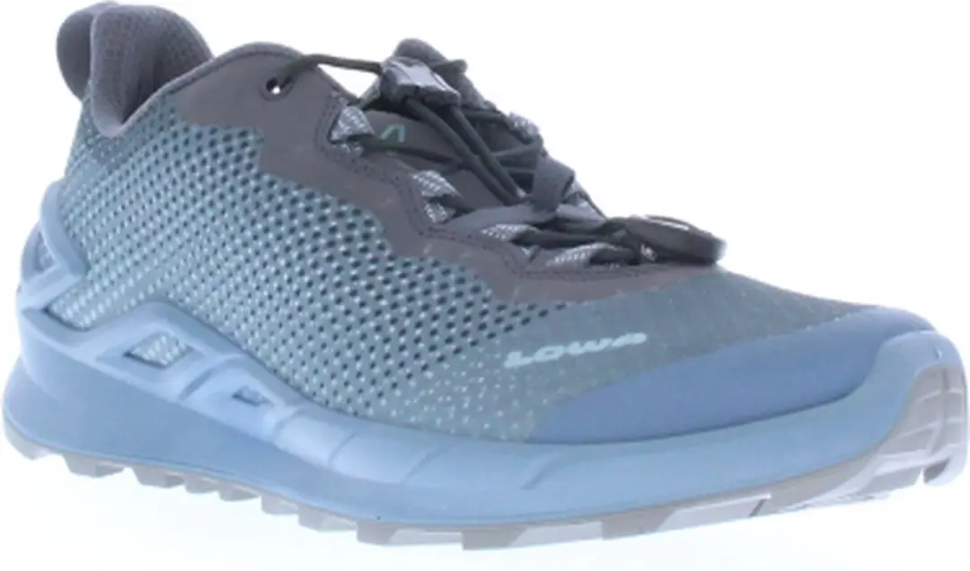 Lowa Merger Gtx Lo