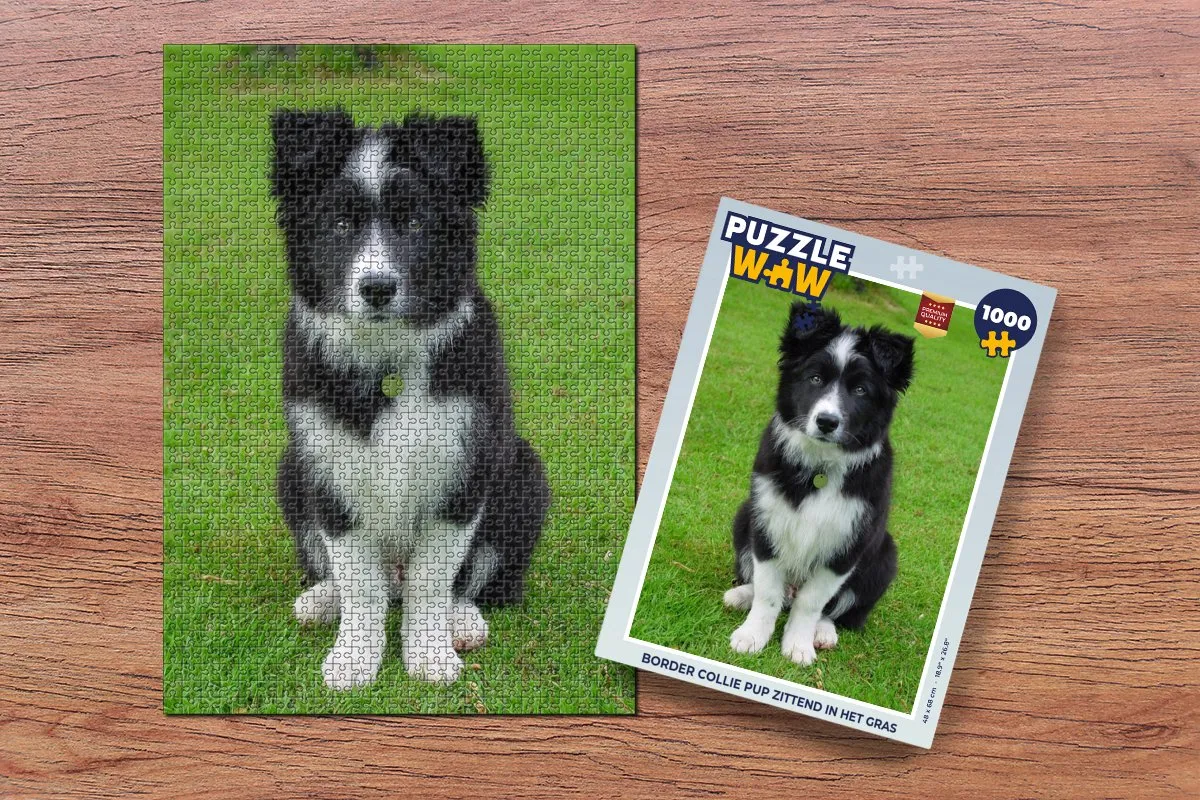 PuzzleWow Border Collie Pup Legpuzzel 1000 Stuks - Multicolor